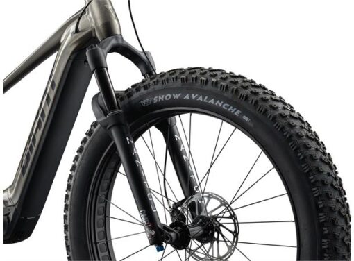 Giant 25 Yukon E+ Fatbike 3