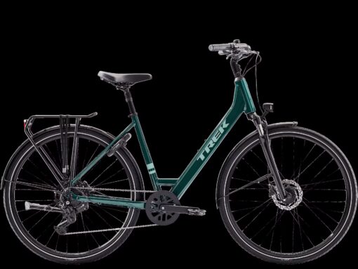Trek Verve Lowstep Equipped Juniper